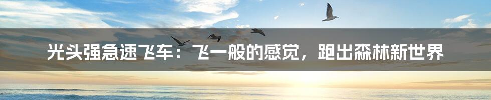 光头强急速飞车:飞一般的感觉,跑出森林新世界