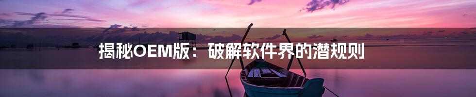揭秘OEM版：破解软件界的潜规则