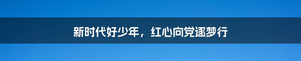 新时代好少年,红心向党逐梦行