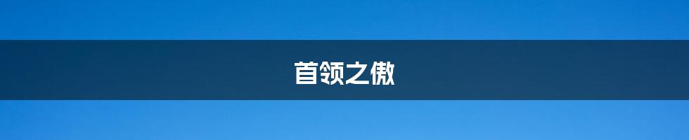 首领之傲