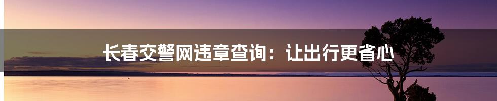 长春交警网违章查询：让出行更省心