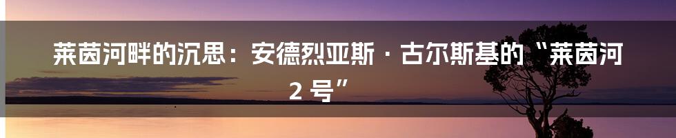 莱茵河畔的沉思:安德烈亚斯·古尔斯基的“莱茵河 2 号”
