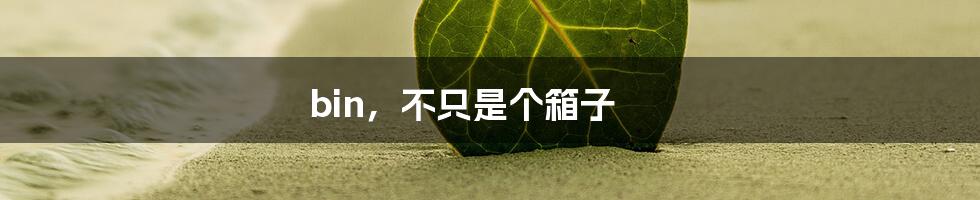 bin,不只是个箱子