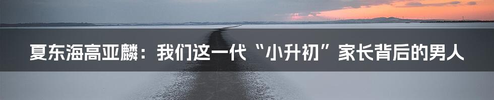 夏东海高亚麟:我们这一代“小升初”家长背后的男人