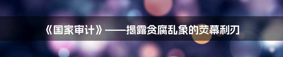 《国家审计》——揭露贪腐乱象的荧幕利刃