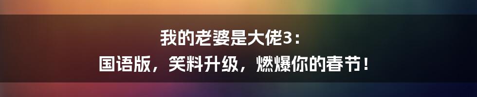 我的老婆是大佬3： 国语版，笑料升级，燃爆你的春节！