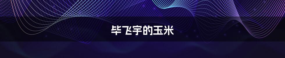 毕飞宇的玉米