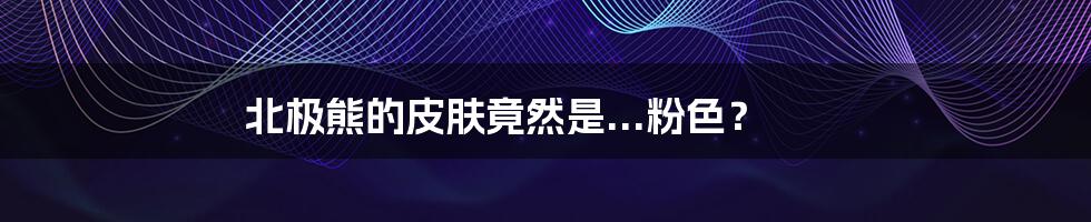 北极熊的皮肤竟然是...粉色?
