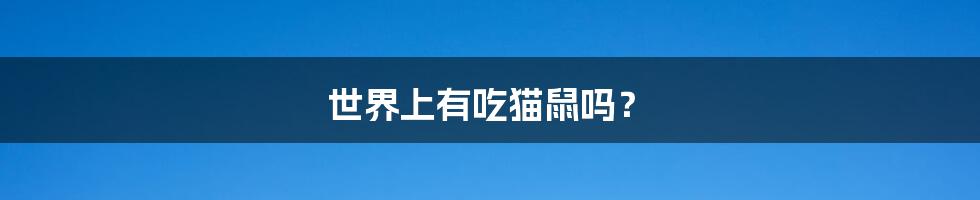 世界上有吃猫鼠吗？