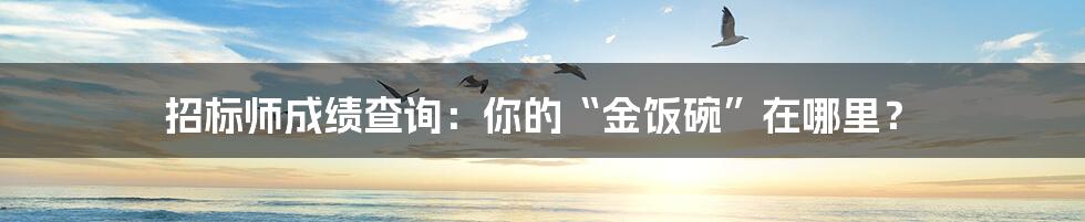 招标师成绩查询：你的“金饭碗”在哪里？