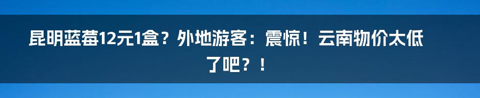 昆明蓝莓12元1盒?外地游客:震惊!云南物价太低了吧?!