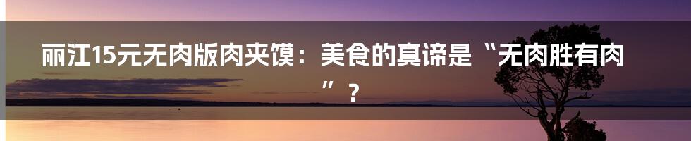 丽江15元无肉版肉夹馍:美食的真谛是“无肉胜有肉”?
