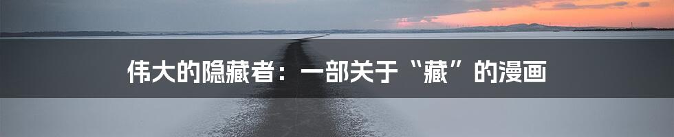 伟大的隐藏者:一部关于“藏”的漫画