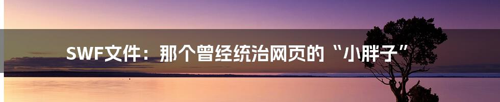 SWF文件：那个曾经统治网页的“小胖子”