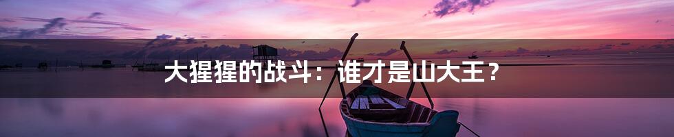 大猩猩的战斗:谁才是山大王?