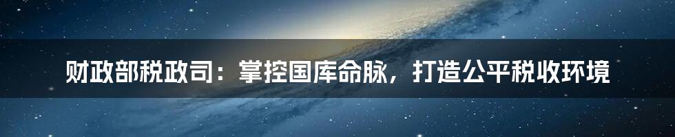 财政部税政司:掌控国库命脉,打造公平税收环境