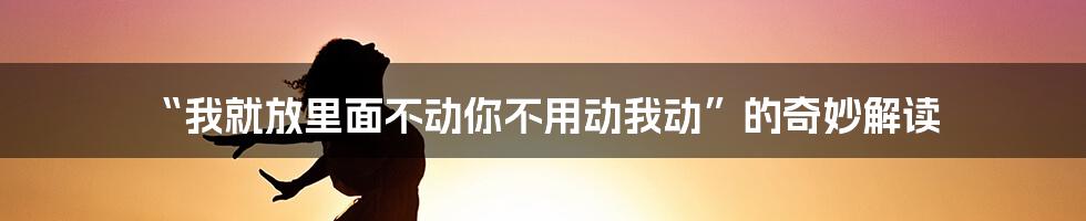 “我就放里面不动你不用动我动”的奇妙解读