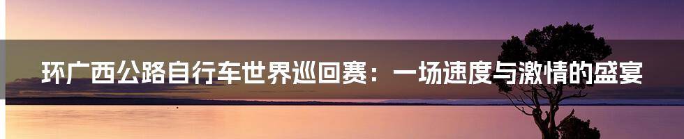 环广西公路自行车世界巡回赛:一场速度与激情的盛宴