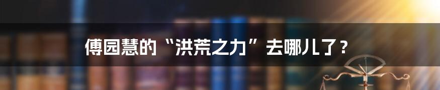 傅园慧的“洪荒之力”去哪儿了?