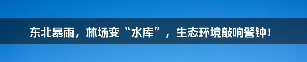 东北暴雨,林场变“水库”,生态环境敲响警钟!