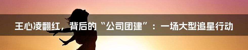 王心凌翻红,背后的“公司团建”:一场大型追星行动