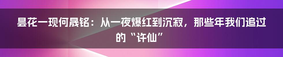 昙花一现何晟铭:从一夜爆红到沉寂,那些年我们追过的“许仙”