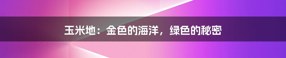 玉米地：金色的海洋，绿色的秘密