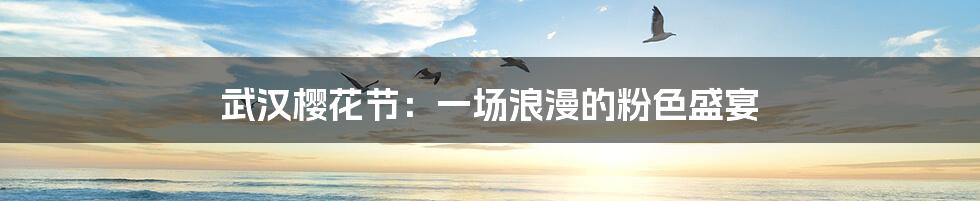 武汉樱花节:一场浪漫的粉色盛宴