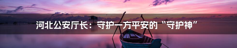 河北公安厅长：守护一方平安的“守护神”