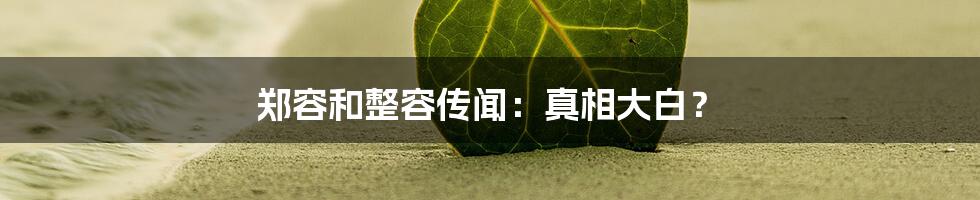 郑容和整容传闻:真相大白?