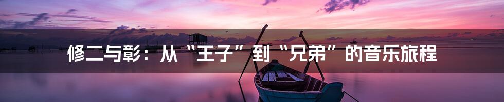 修二与彰：从“王子”到“兄弟”的音乐旅程