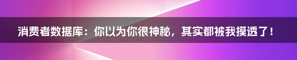 消费者数据库:你以为你很神秘,其实都被我摸透了!