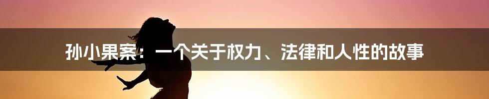 孙小果案:一个关于权力、法律和人性的故事