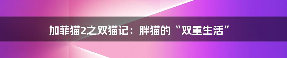 加菲猫2之双猫记:胖猫的“双重生活”