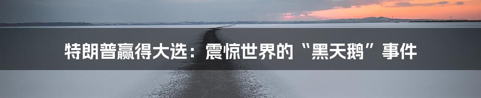 特朗普赢得大选:震惊世界的“黑天鹅”事件