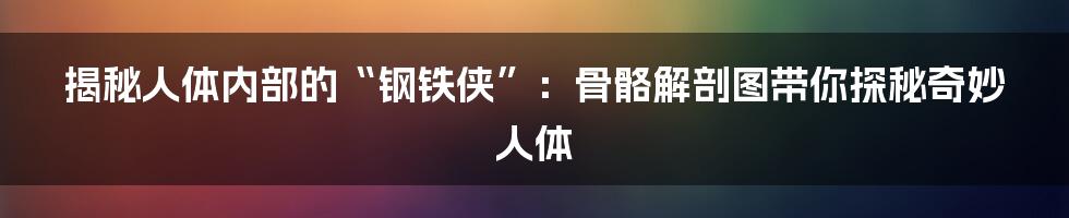 揭秘人体内部的“钢铁侠”:骨骼解剖图带你探秘奇妙人体