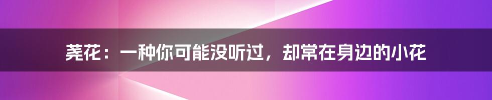 荛花：一种你可能没听过，却常在身边的小花