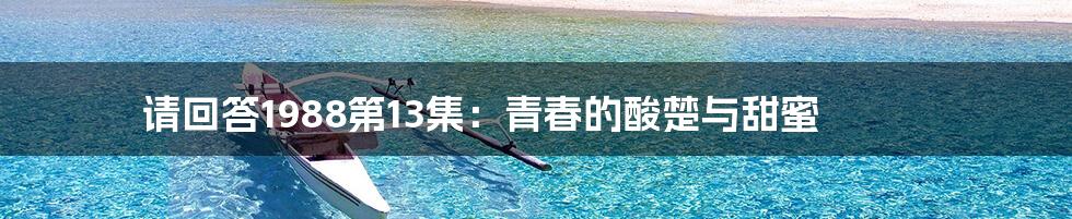 请回答1988第13集：青春的酸楚与甜蜜