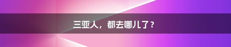 三亚人,都去哪儿了?