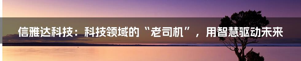 信雅达科技：科技领域的“老司机”，用智慧驱动未来