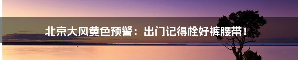 北京大风黄色预警:出门记得栓好裤腰带!