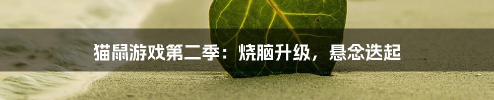 猫鼠游戏第二季:烧脑升级,悬念迭起