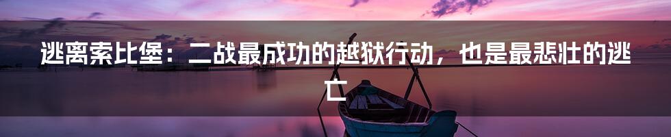 逃离索比堡:二战最成功的越狱行动,也是最悲壮的逃亡