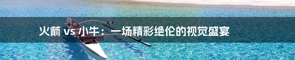 火箭 vs 小牛:一场精彩绝伦的视觉盛宴