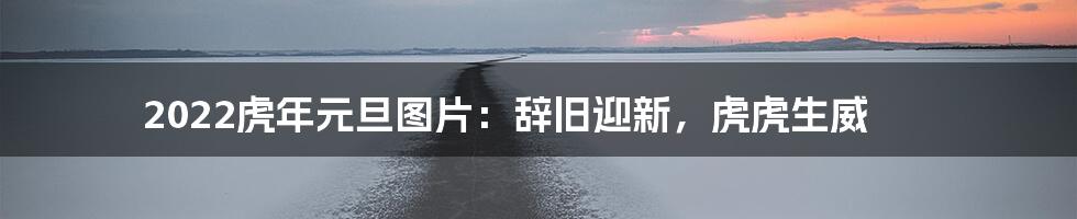 2022虎年元旦图片:辞旧迎新,虎虎生威