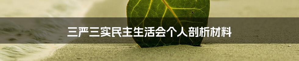 三严三实民主生活会个人剖析材料