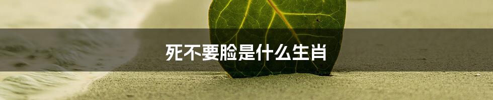 死不要脸是什么生肖