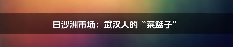 白沙洲市场:武汉人的“菜篮子”