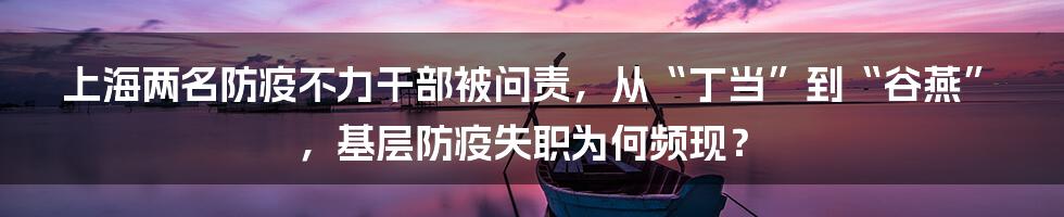 上海两名防疫不力干部被问责,从“丁当”到“谷燕”,基层防疫失职为何频现?