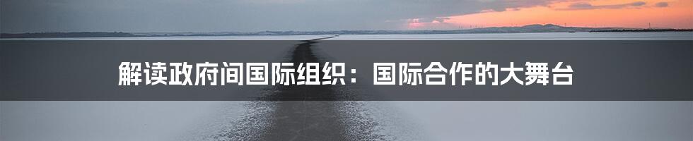 解读政府间国际组织:国际合作的大舞台